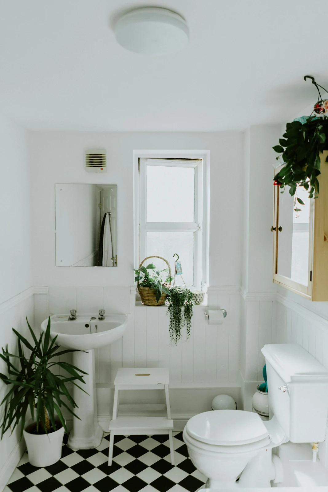 Bathroom layout and fittings